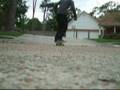 Ripping the Humu
