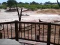 Savuti Elephant Camp in Chobe with Botswana Odyssey