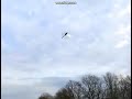 Phoenix RC Phoenix RC