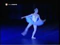 Una Noche en el Lago de los Cisnes - Tamara Rojo Moderatto Una Noche en el Lago de los Cisnes - Tamara Rojo Moderatto