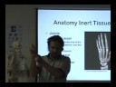 ONE1 F08 WK 8&9 Biomx upper extremity P7 Wrist and Hand ONE1 F08 WK 8&9 Biomx upper extremity P7 Wrist and Hand