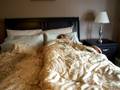 sleep money
