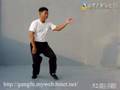 台灣武術Gung Fu Golden Eagle Chuan金鷹拳(baosu)