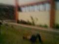 Caida d alex