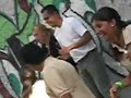 Verbena ISA 3 Verbena ISA 3