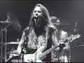 Alice in Chains Bleed the Freak Live Video