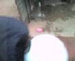  - MovieZen Video