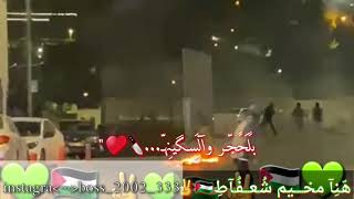 اغاني مخيم شعفاط