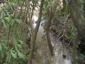 videos de bigfoot at pond