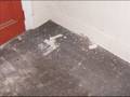 videos de clark enter_0001.wmv