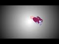 Bunnyjump