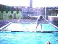 The Great Pool Bamboo Pole Fight