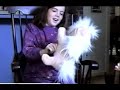 Toy   Dog  Gives Birth - 1992