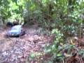 MOV01148.AVI