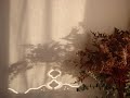 LA DANSE DU BONHEUR - Shakti