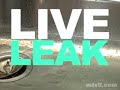 Next movement Live