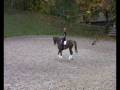 videos de SATCHMO