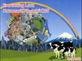 Katamari Damashii: Everlasting Love - Audio Only