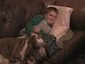Slumber party with the basset hounds