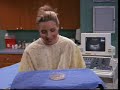Phoebes Uterus Phoebes Uterus