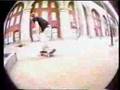 NYC BEST MONTAGE