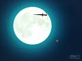 妖精 舞 - HiME 帝國
