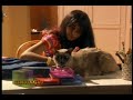 Angela R� R�