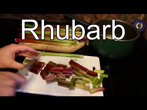 how to harvest rhubarb youtube