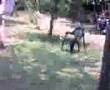 videos de moto_0012