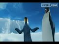 مشهد رائع مضحك مسلي جداااا اجمل حيوانات البحر مقطع مضحك جدااااااا