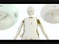 the intron