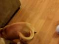 videos de MOV01272.MPG