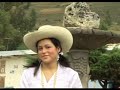el minero