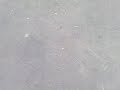 Thumbnail #1