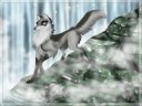 wolf 2008 wolf 2008