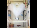 Patterson Kelley 10 Cu Ft. Twin Shell Blender s/s  #11685