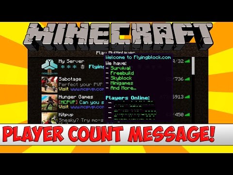 how to pm a player in minecraft