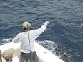 guatemala-hooked-up-blue-marlin-release-2.html