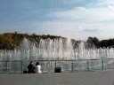 Проба