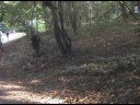 Rosie Rebel Gets Stalked!