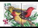 Urantia Book History