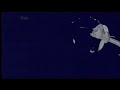Neighbours - Short Closing Credits 2007/2008