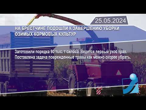 Новостная лента Телеканала Интекс 25.05.24.
