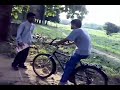 the-wild-life-ragged-terrain.html