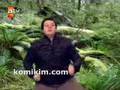 metin tok new zealand