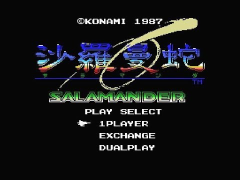動画