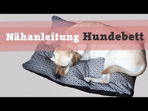 Nähanleitung Hundebett Hundekissen DIY selber nähen Hund Bett Kissen Katze video kostenlos Tutorial
