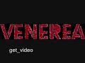 punk from sweden from the underrated venerea