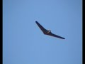 Abfliegen 2006 02