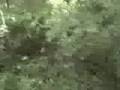 Hunter's Creek: A Newton Keats Story